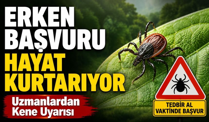 Uzmanlardan Kene Uyarısı: Hastaneye Erken Başvuru Hayat Kurtarıyor