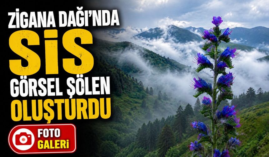 Zigana Dağı’nı Sis Kapladı: Ortaya Kartpostallık Görüntüler Çıktı