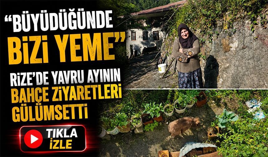 Rize’de Yavru Ayının Bahçe Ziyaretleri Gülümsetti; “Büyüdüğünde Bizi Yeme”
