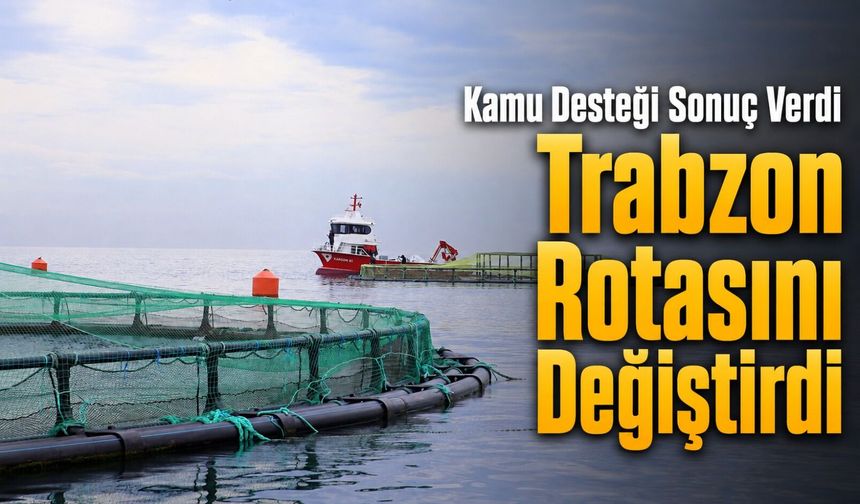 Fındık İhracatı Gerilerken Trabzon’da Bir Sektör Hızla Yükseliyor