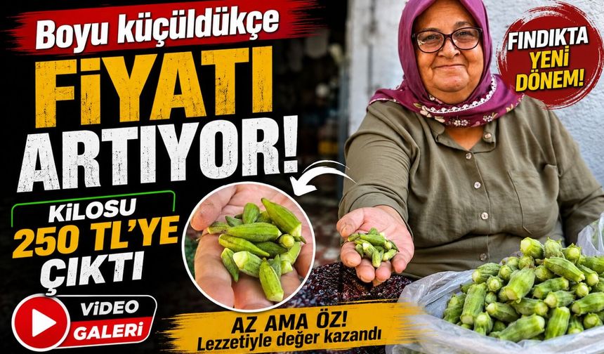 Boyu küçüldükçe fiyatı artıyor: Kilosu 250 TL’ye çıktı