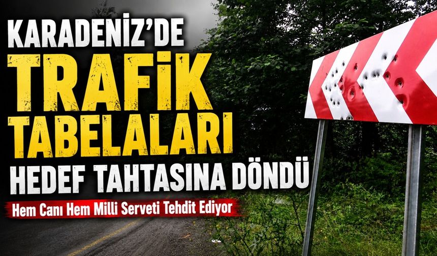Karadeniz’de Trafik Tabelaları Hedef Tahtasına Döndü; Hem Canı Hem Milli Serveti Tehdit Ediyor