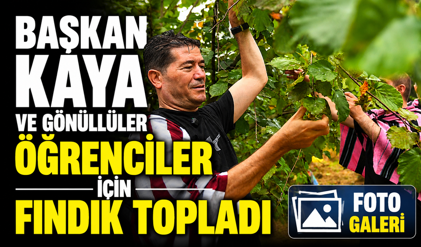 Başkan Kaya ve Gönüllüler Öğrenciler İçin Fındık Topladı