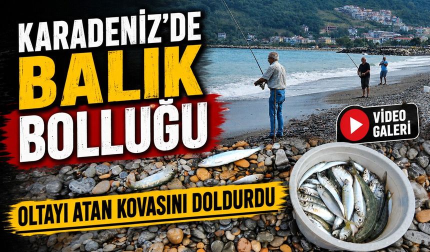 Karadeniz’de balık bolluğu başladı: Oltasını atan kovasını doldurdu