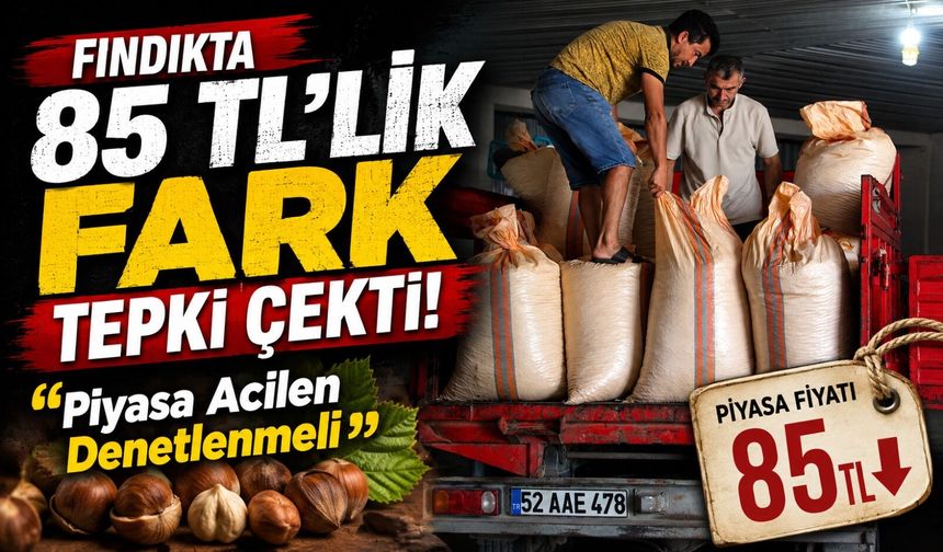 Fındıkta 85 TL’lik Fark Tepki Çekti: “Piyasa Acilen Denetlenmeli”
