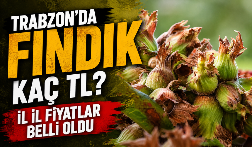TMO ve FİSKOBİRLİK fındık fiyatları belli oldu: İl il serbest piyasa tablosu