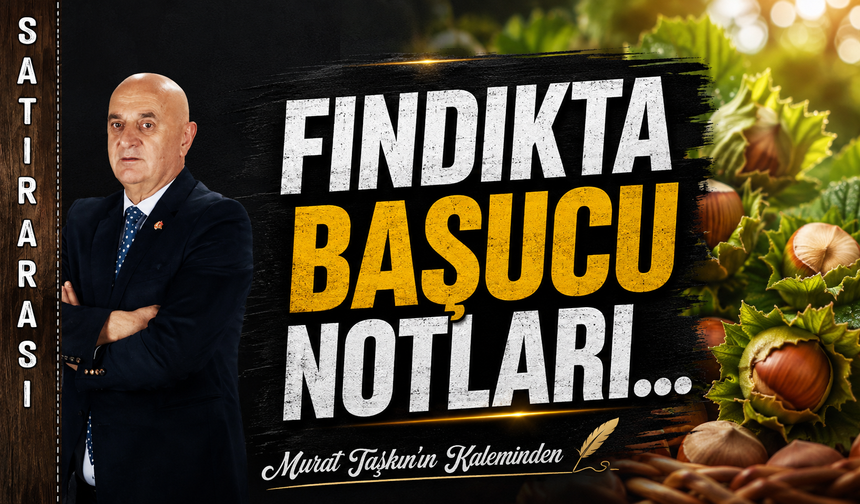 Fındıkta Başucu Notları…