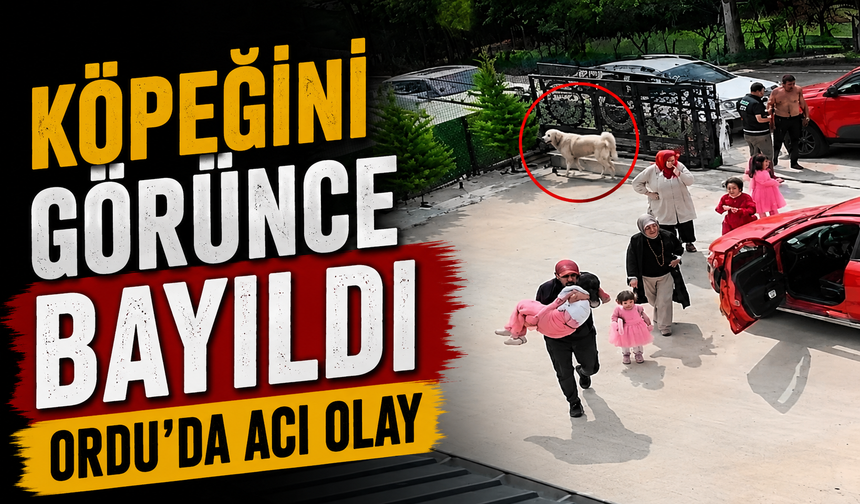 Korgan’da otomobil köpeğe çarptı: 10 yaşındaki çocuk fenalaştı