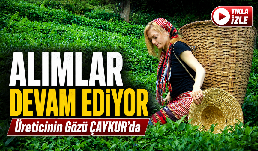 ÇAYKUR’un İkinci Sürgün Kampanyasında Rakamlar Hızla Yükseliyor