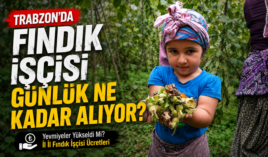 Trabzon’da Fındık Yevmiyesi Ne Kadar? İşte İl İl Fındık Yevmiye Fiyatları...
