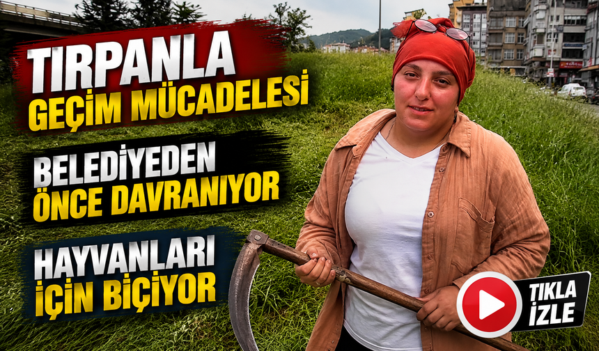 Rize’de Tırpanla Geçim Mücadelesi: “Nerede Ot Var Biz Oradayız”
