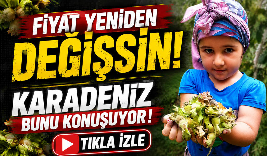 Fındık Fiyatı Açıklandı Gürer İtiraz Etti: Üretici İçin 370 Lira Çağrısı