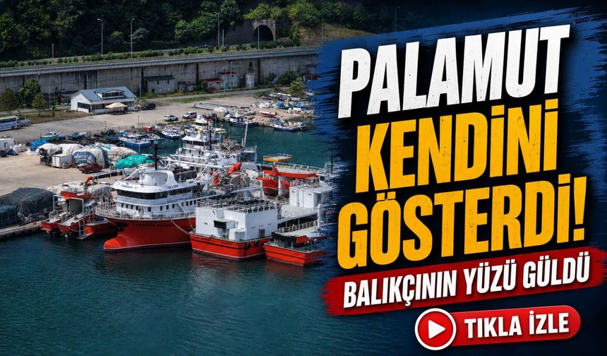 Trabzon’da Balıkçıların Yüzünü Güldüren Haber: Palamut Kendini Gösterdi