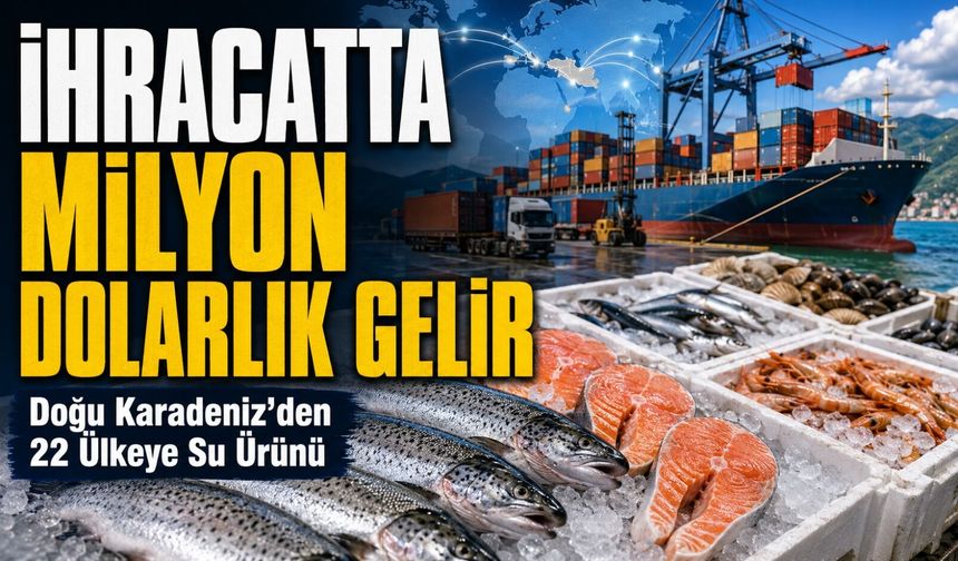 Doğu Karadeniz’den 22 Ülkeye Su Ürünü; İhracatta Milyon Dolarlık Gelir