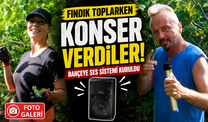 Fındık bahçesinde sürpriz konser: Hasada Anadolu Rock damgası