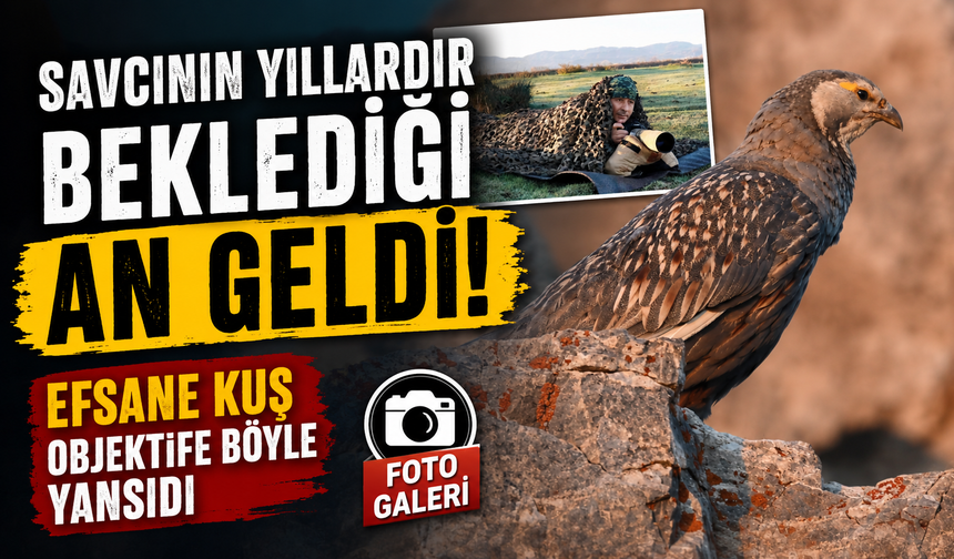 Efsane Kuş Urkekliği Ortaya Çıktı: O Anı Savcı Görüntüledi