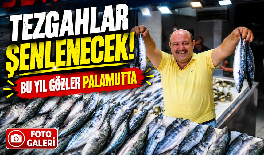 Karadeniz’de palamut umudu: Balıkçılar 1 Eylül’ü bekliyor