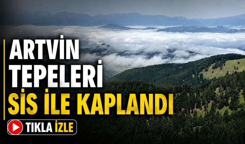 Artvin’in Yüksek Kesimleri Sisle Kaplandı: Dağ Zirveleri Gözden Kayboldu