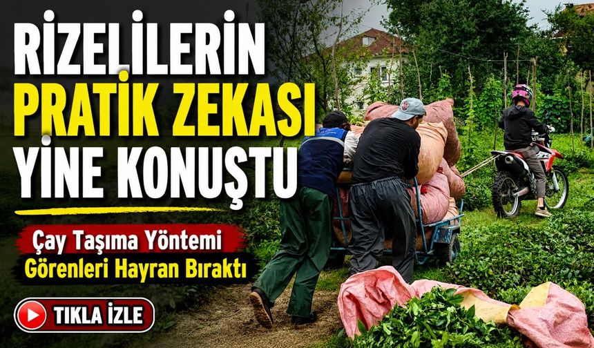 Rizelilerin Pratik Zekası Yine Konuştu; Çay Taşıma Yöntemi Görenleri Hayran Bıraktı