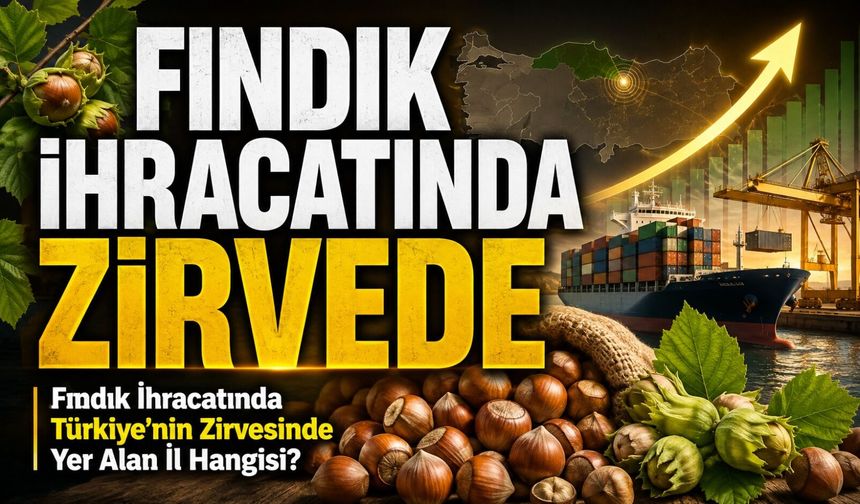 Trabzon Fındık İhracatında Zirvede: Türkiye Payı Yüzde 34,76