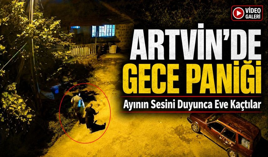 Artvin’de Gece Paniği: Ayının Sesini Duyunca Eve Kaçtılar
