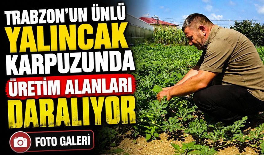 Trabzon’un Ünlü Yalıncak Karpuzunda Üretim Alanları Daralıyor