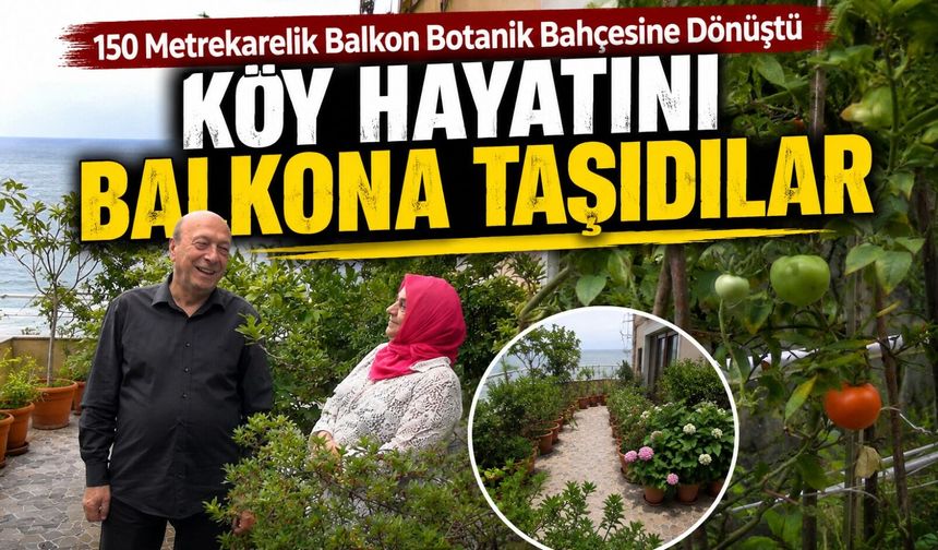 Apartman Balkonunda Limon, Portakal ve Üzüm Yetiştiriyorlar