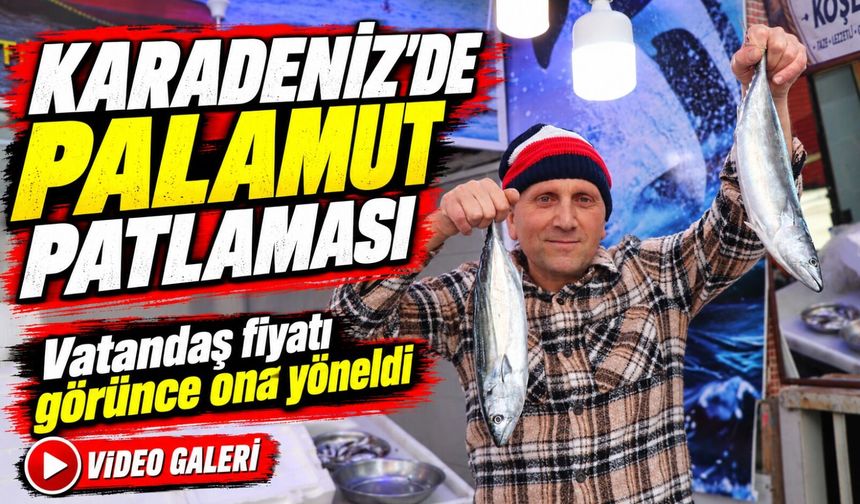 Karadeniz’de Palamut Patlaması; Vatandaş fiyatı görünce ona yöneldi