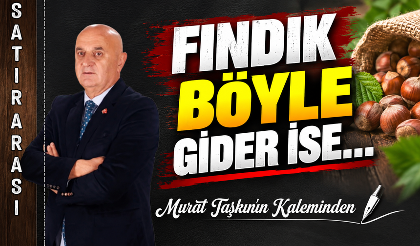 Fındık Böyle Gider İse…
