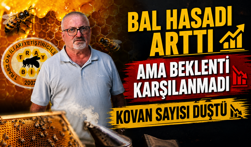 Doğu Karadeniz’de Bal Hasadı Arttı: Beklenti Yine Karşılanmadı