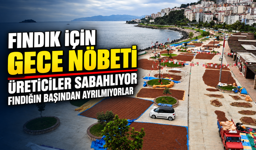 Giresun’da Fındık İçin Gece Nöbeti: Üreticiler İmeceyle Bekliyor