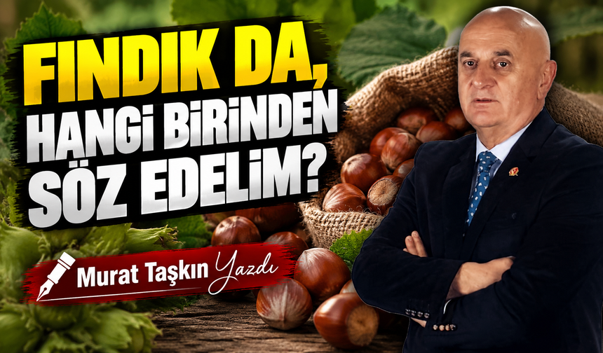 Fındık Da, Hangi Birinden Söz Edelim?