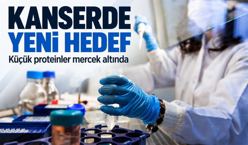 Kanser araştırmasında yeni hedef: Genomdaki küçük proteinler