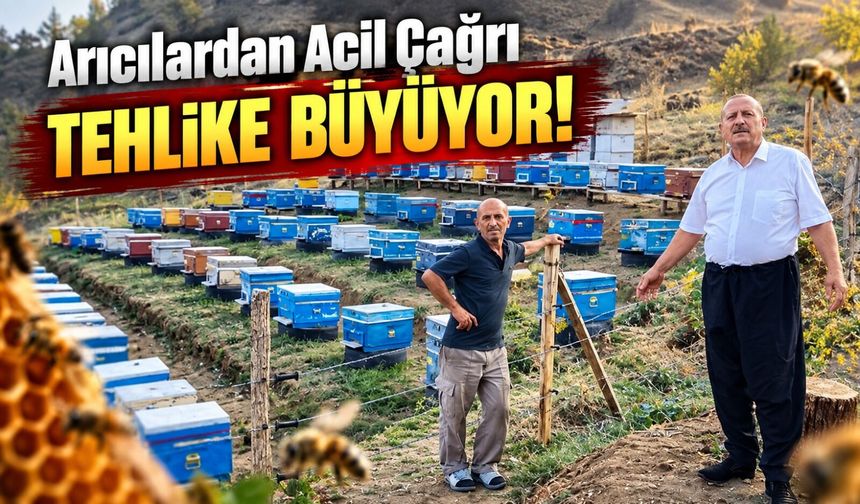 Vauk Dağı’nda Ayı Alarmı: “Sabaha Kadar Uyumuyoruz”
