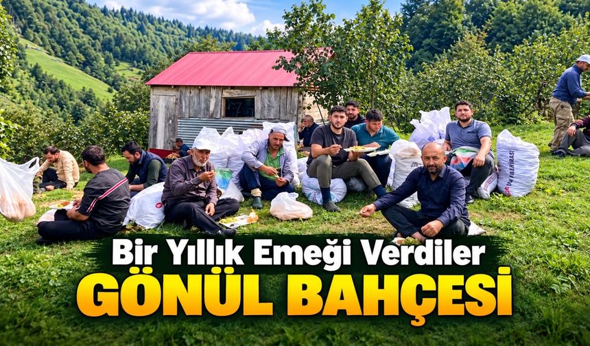 Şalpazarı’nda Alkışlanacak Hareket: Bir Yıllık Fındık Mahsulünü Bağışladılar