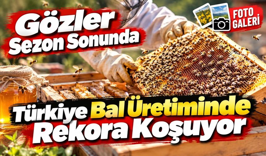 Türkiye Bal Üretiminde Rekora Koşuyor: Gözler Sezon Sonunda