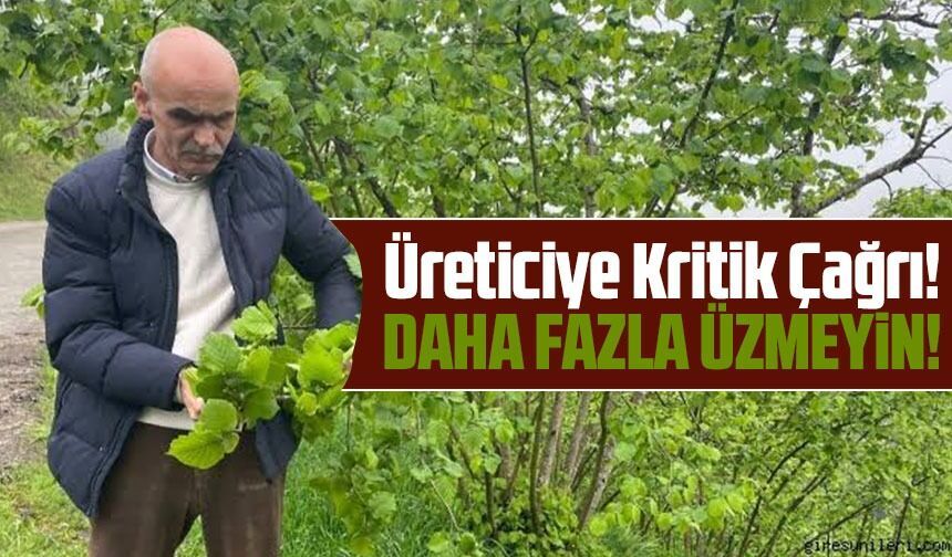 Fındık Üreticisinin Beklediği Çıkış Geldi: Fiyat İçin 5 Maddelik Formül