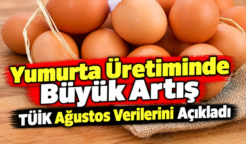 Yumurta Üretiminde Büyük Artış: Tüik Ağustos Verilerini Açıkladı