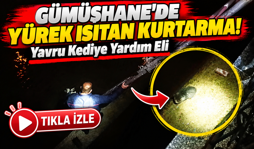 Gümüşhane'de Yavru Kedinin Yardımına Koştular! Kurtarma Mutlu Sonla Bitti