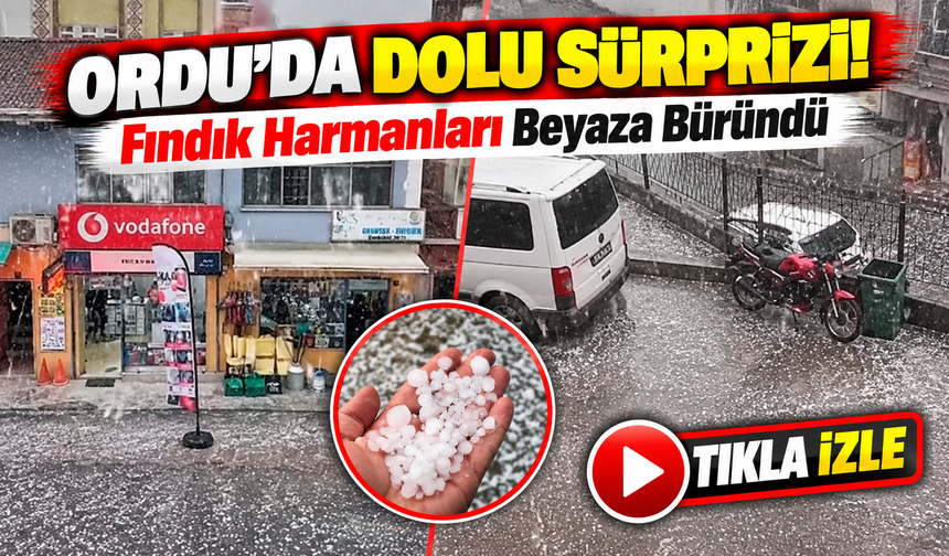 Ordu'da Dolu Sürprizi! Fındık Harmanları Beyaza Büründü