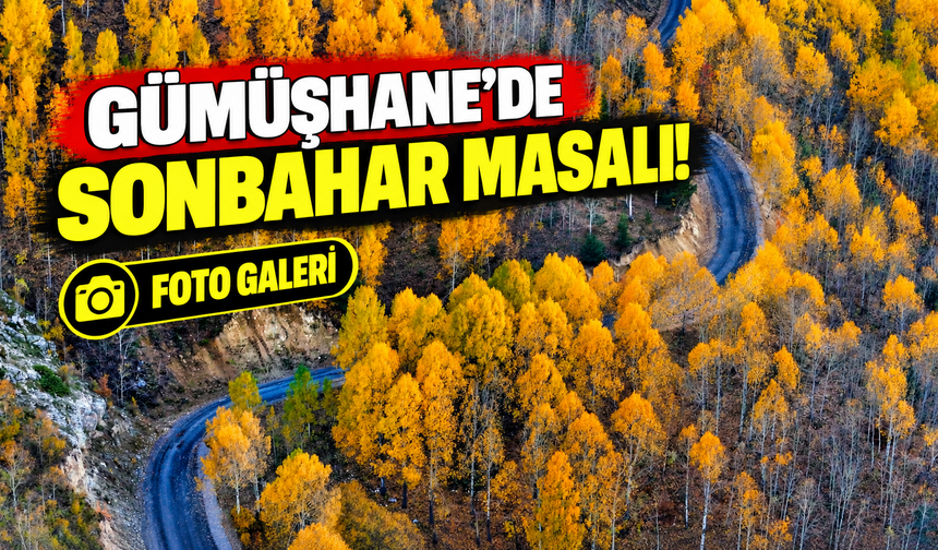 Gümüşhane'de Sonbahar Masalı! Örümcek Ormanları ve İmera Manastırı Renk Cümbüşüne Büründü
