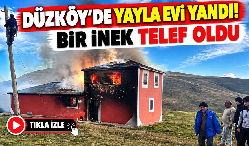 Düzköy’de Yayla Evi Yandı: Bir İnek Telef Oldu