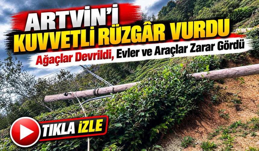 Artvin'de Kuvvetli Rüzgâr Üç İlçeyi Vurdu; Ağaçlar Devrildi, Evler ve Araçlar Zarar Gördü