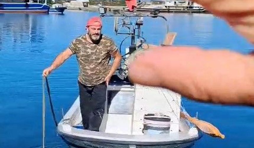 Rize'de 50 Liralık Palamut Tartışması Gülümsetti; “Bin Liralık Yakıt Yakacaksın, Balığı Çarşıdan Alalım”