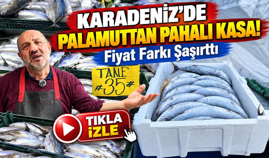 Karadeniz'de Palamuttan Pahalı Kasa! Fiyat Farkı Şaşırttı