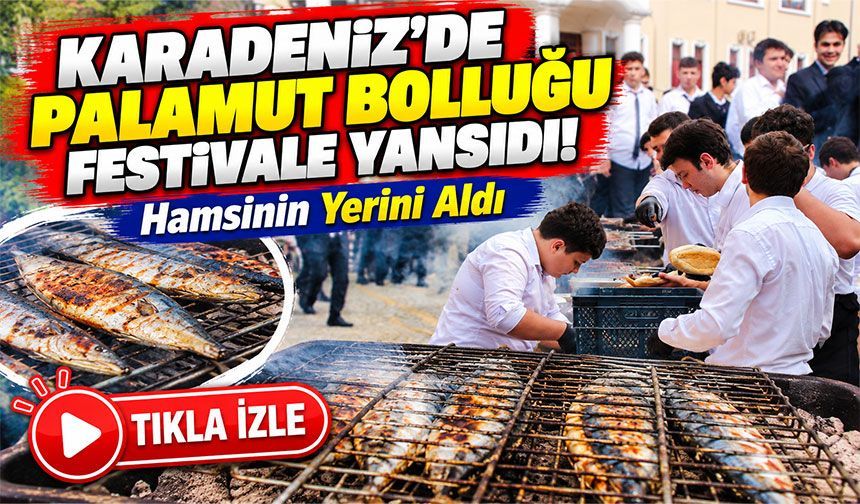 Karadeniz'de Palamut Bolluğu Festivale Yansıdı! Hamsinin Yerini Aldı