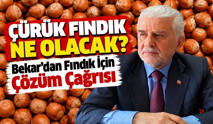 Mustafa Bekar’dan Fındık İçin Kritik Çağrı; Çürük Fındık Ne Olacak?
