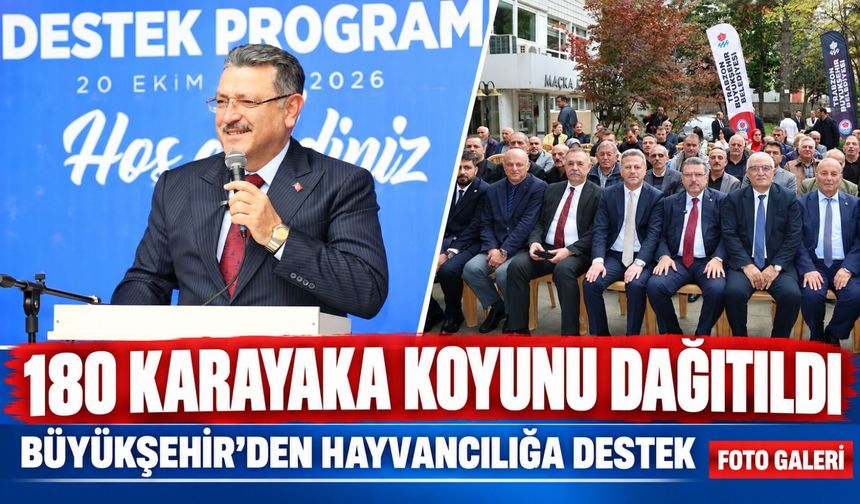 Büyükşehir’den Hayvancılığa Destek: 180 Karayaka Koyunu Dağıtıldı