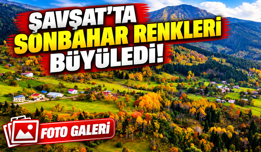 Şavşat'ta Sonbahar Renkleri Büyüledi! Yavuzköy'den Eşsiz Kareler