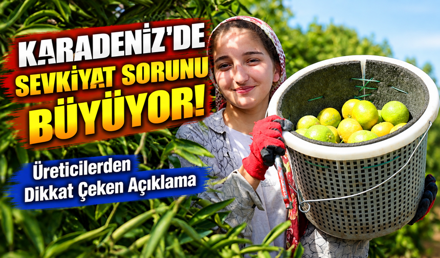 Karadeniz'de Sevkiyat Sorunu Büyüyor! Adanalı Üreticilerden Dikkat Çeken Açıklama